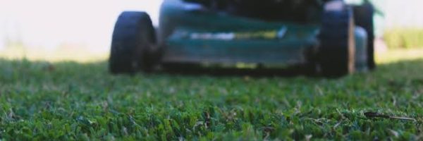 images (10)